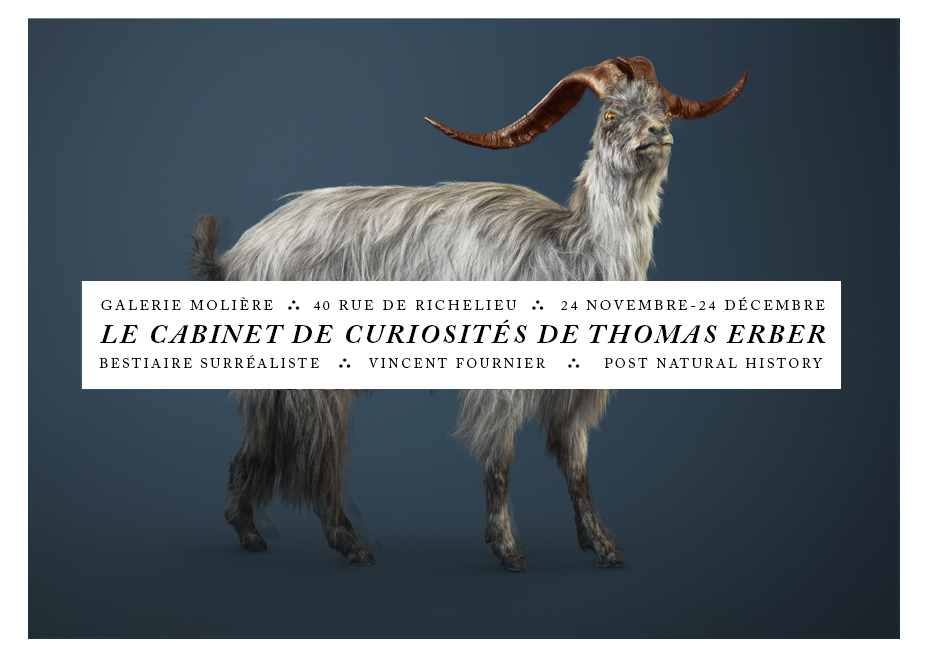 le Cabinet de Curiosités de Thomas Erber